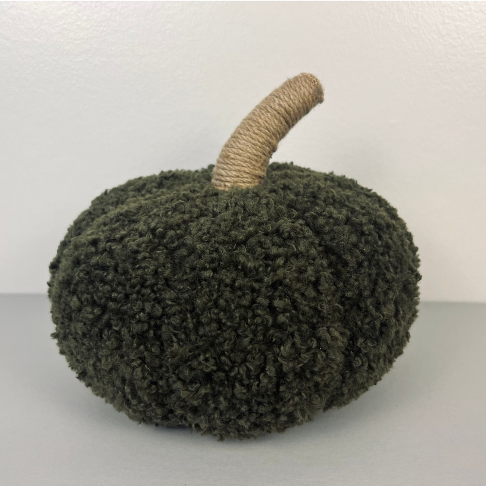 Pottery Barn Cozy Pumpkin Decorative Pillow Loden Green 5" x 8" Sherpa NWT